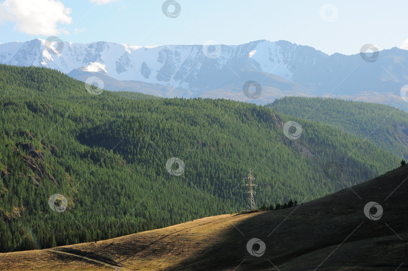 Скачать Столб линии электропередачи на склоне холма на фоне густого хвойного леса и высоких горных вершин, покрытых снегом. фотосток Ozero