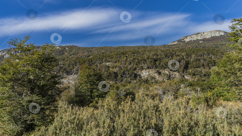 Скачать Лесистый горный склон на фоне голубого неба и облаков. фотосток Ozero