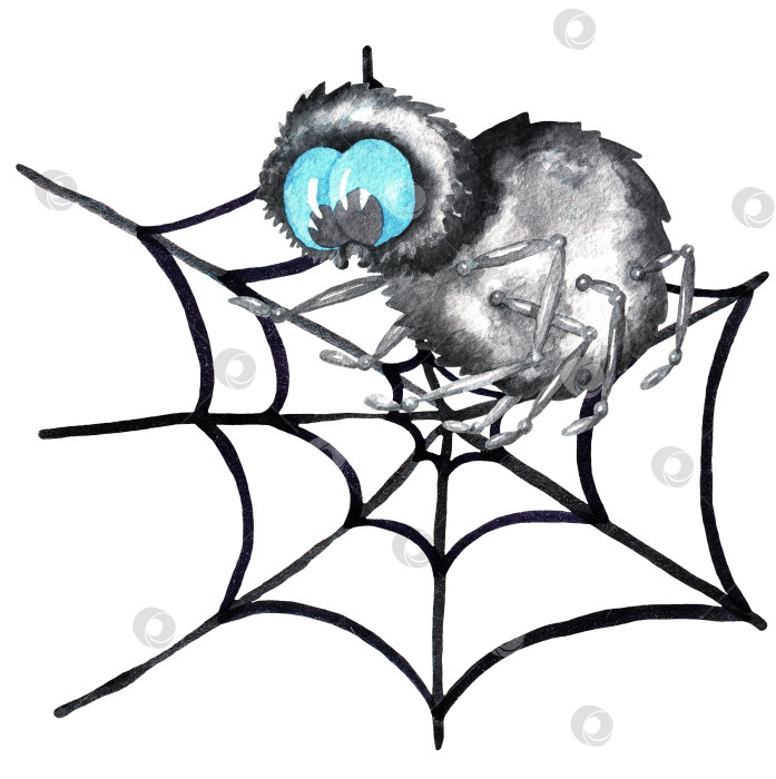 Скачать Паутина и паук (Хэллоуин), акварель фотосток Ozero