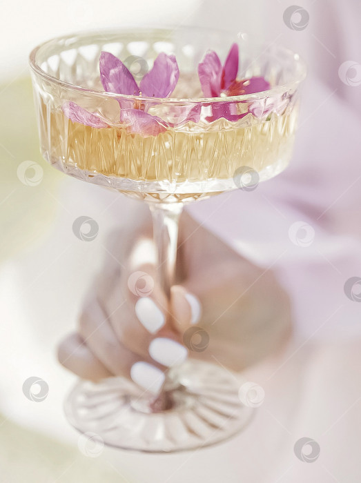 Скачать Бокал для шампанского с розовыми лепестками цветущей яблони и цветущей веткой на заднем плане. Романтический необычный напиток для празднования. фотосток Ozero