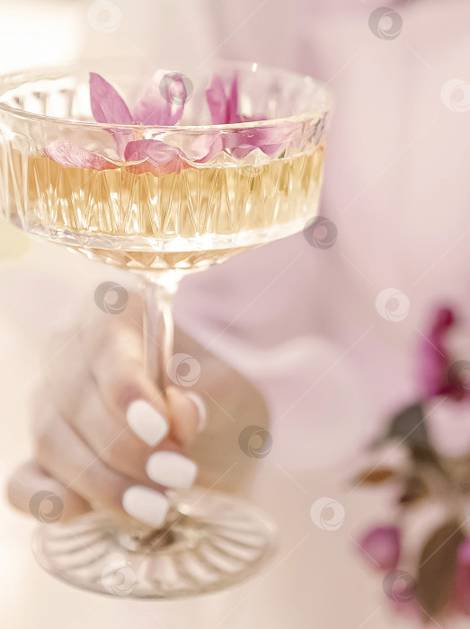 Скачать Бокал для шампанского с розовыми лепестками цветущей яблони и цветущей веткой на заднем плане. Романтический необычный напиток для празднования. фотосток Ozero