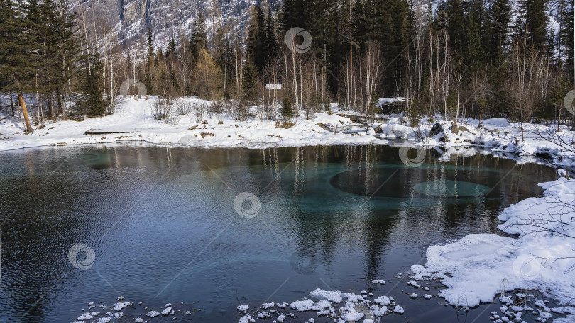 Скачать Удивительное незамерзающее озеро в заснеженном лесу. фотосток Ozero