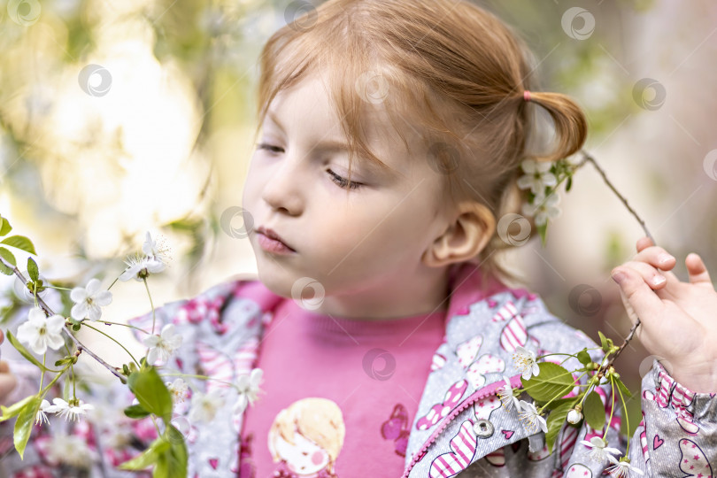 Скачать Портрет маленькой девочки с рыжими волосами крупным планом на фоне цветущей вишни. Весна фотосток Ozero