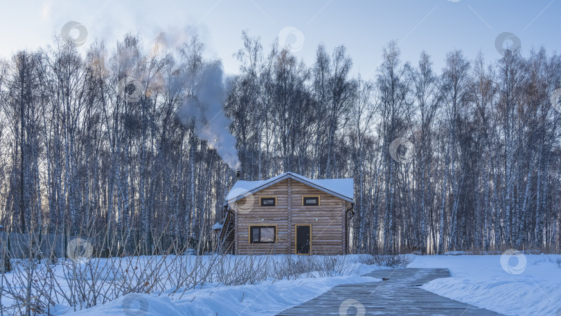 Скачать Деревянный дом стоит на опушке березовой рощи. фотосток Ozero