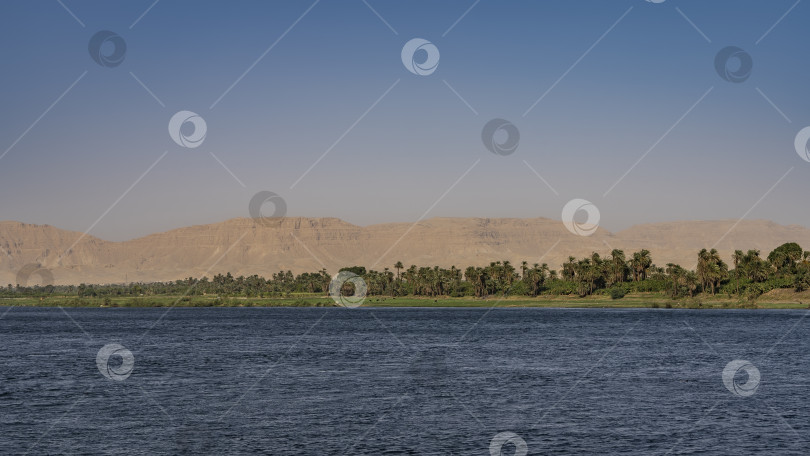 Скачать Вдоль берега Нила видна зеленая растительность - пальмы, кусты. фотосток Ozero