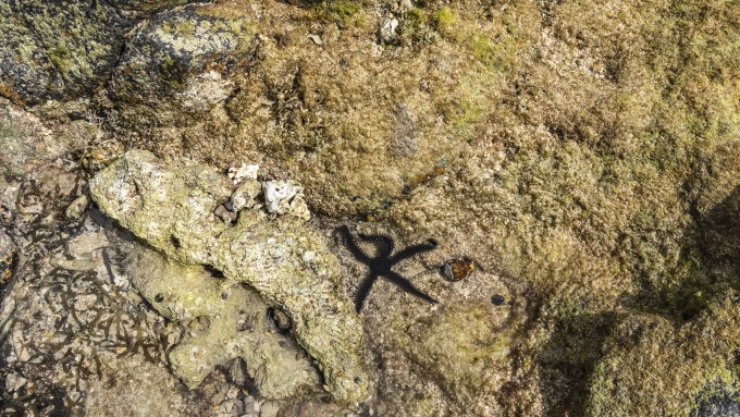 [object Object] undefined