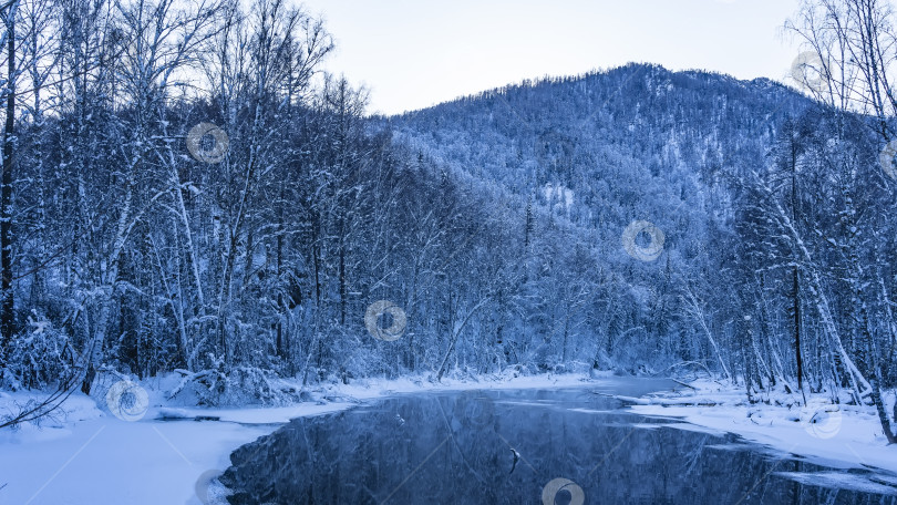 Скачать Незамерзающая река в зимнем лесу. фотосток Ozero