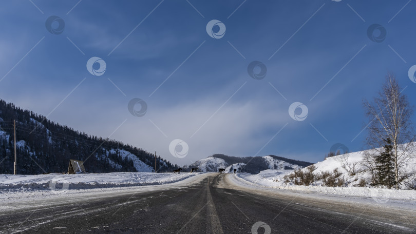 Скачать Прямое шоссе идет вперед. фотосток Ozero