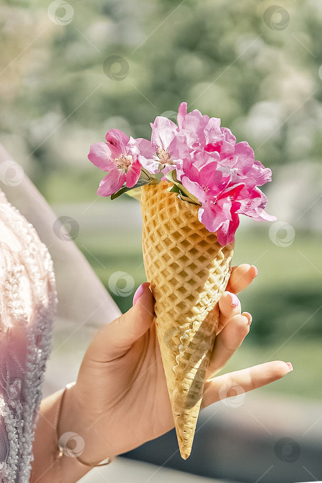 Скачать Цветы в вафельном рожке в руке женщины. Цветение фруктовых деревьев в саду. фотосток Ozero