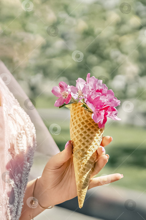 Скачать Цветы в вафельном рожке в руке женщины. Цветение фруктовых деревьев в саду. фотосток Ozero