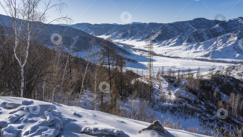 Скачать Лес растет на склоне холма в сугробах. фотосток Ozero