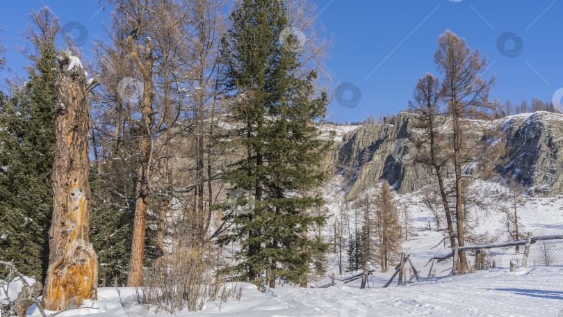 Скачать Вдоль дороги, утоптанной в снегу, стоит покосившийся забор. фотосток Ozero