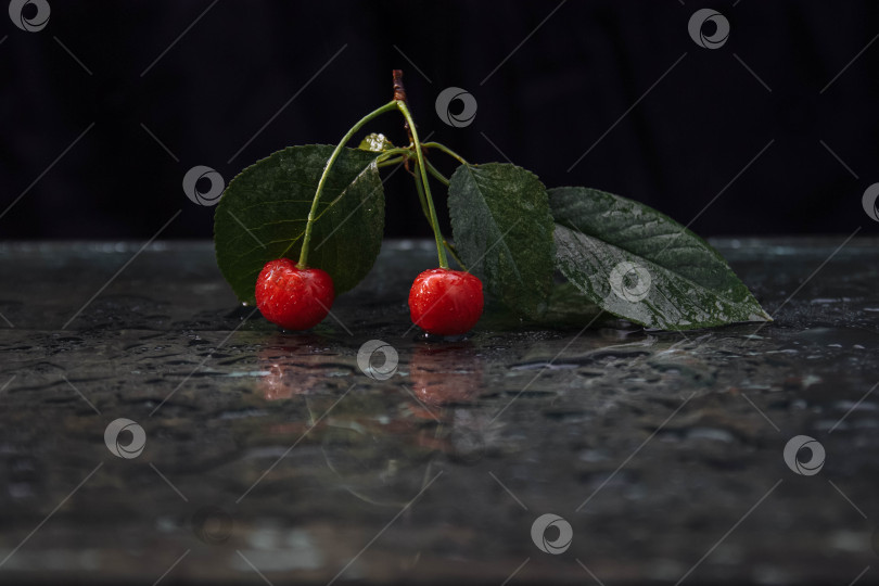 Скачать красные вишни с зелеными листьями на стеклянном столе на черном фоне крупным планом фотосток Ozero