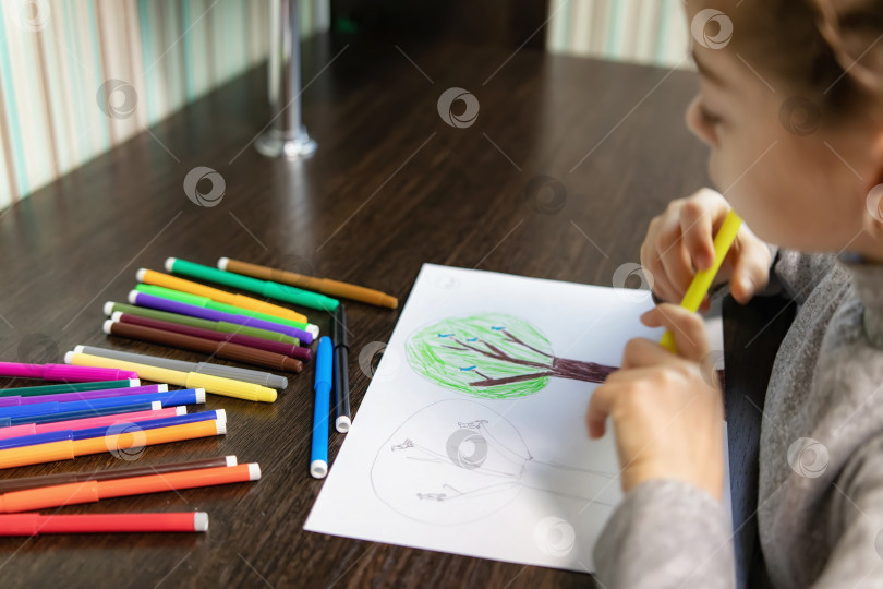 Скачать 9-летняя девочка рисует цветными фломастерами картинку с деревьями и птицами фотосток Ozero