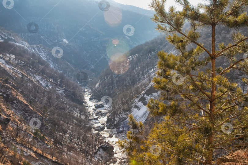 Скачать Вид сверху на горное ущелье, по которому протекает горная река фотосток Ozero