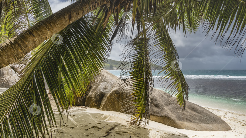Скачать Уединенный пляж на тропическом острове. фотосток Ozero