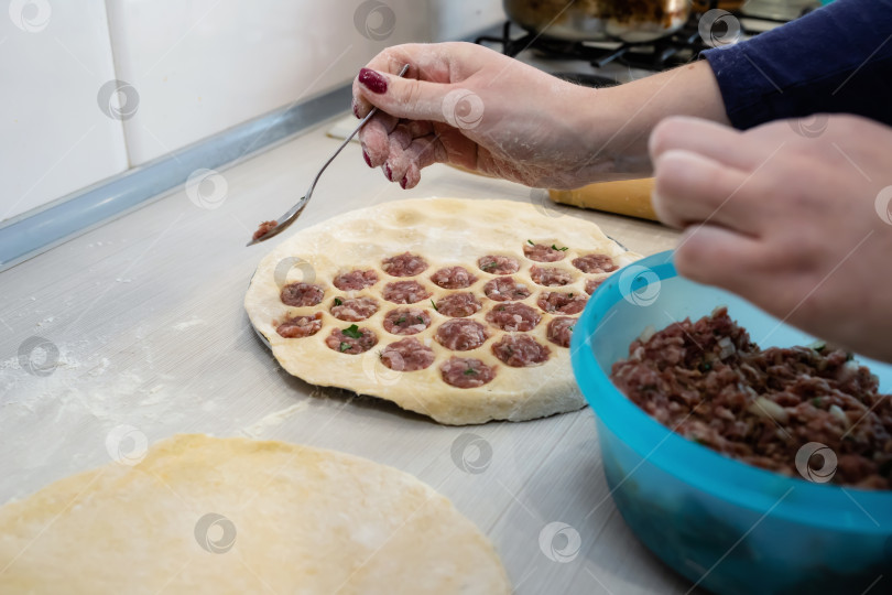 Скачать Традиционная русская кухня : приготовление пельменей в домашних условиях фотосток Ozero