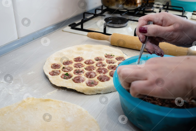 Скачать Традиционная русская кухня : приготовление пельменей в домашних условиях фотосток Ozero