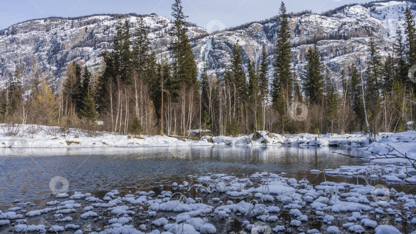 Скачать Незамерзающее озеро в зимнем лесу. фотосток Ozero