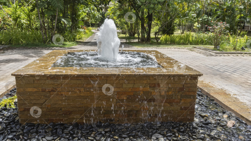 Скачать Декоративный фонтан в тропическом саду. фотосток Ozero