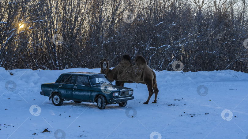 Скачать Машина припаркована на заснеженной дороге. фотосток Ozero