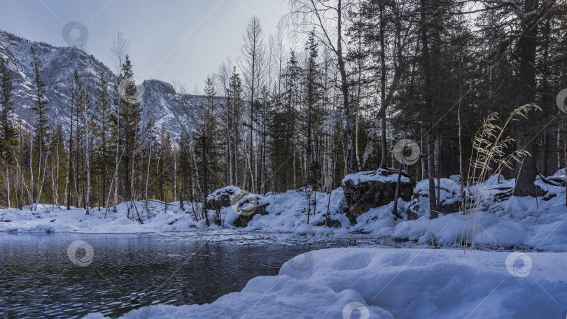 Скачать Незамерзающее озеро в зимнем лесу. фотосток Ozero