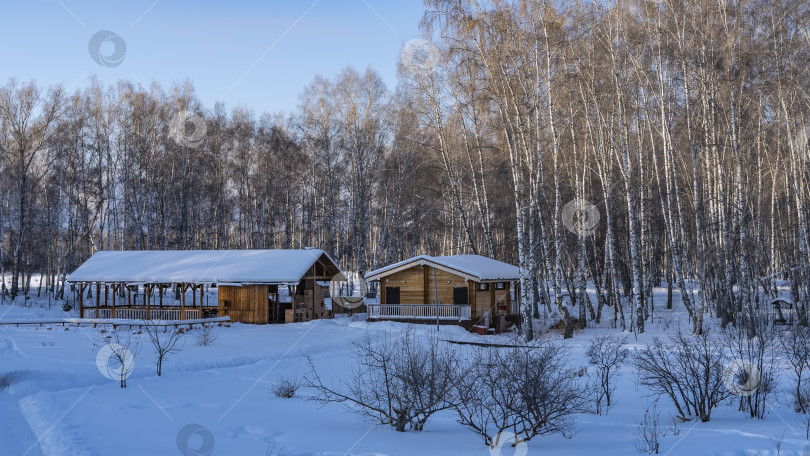 Скачать Туристическая база зимой. Деревянные дома стоят на опушке березовой рощи. фотосток Ozero