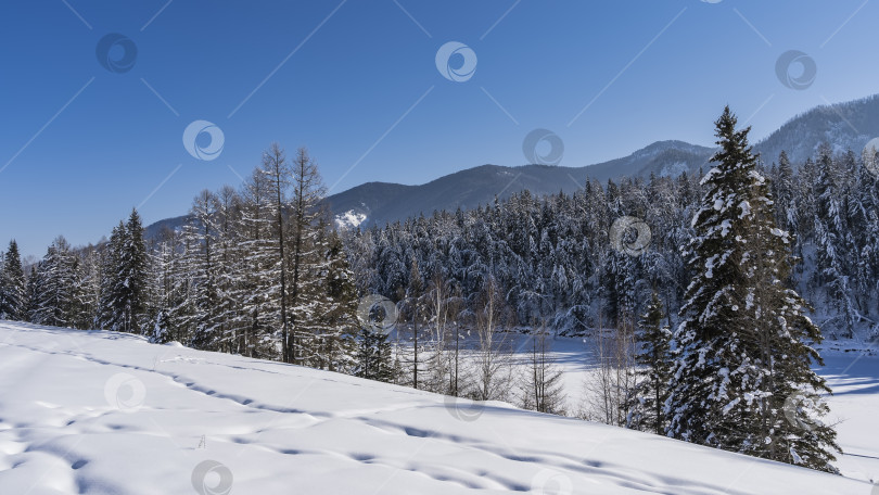 Скачать Замерзшая река в тайге. фотосток Ozero