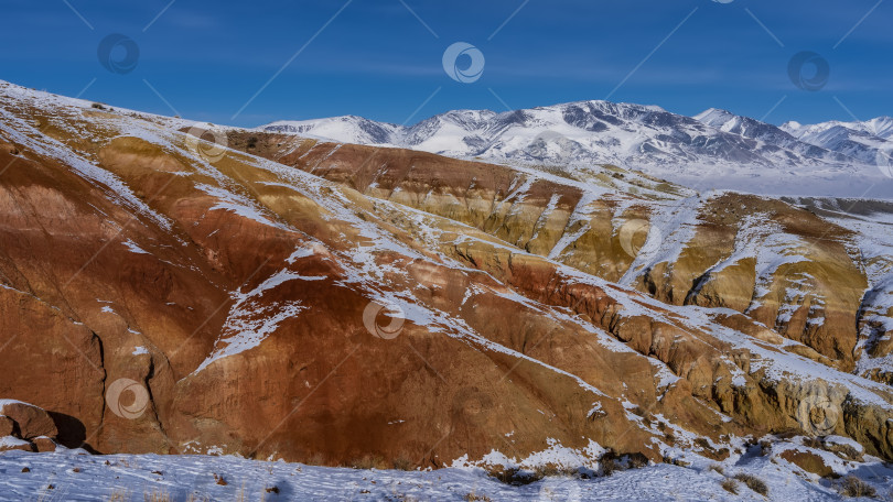 Скачать Яркие красно-оранжевые склоны холмов покрыты снегом. фотосток Ozero