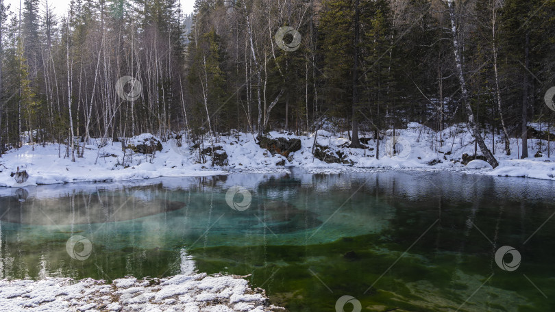 Скачать Удивительное незамерзающее озеро в зимнем лесу. фотосток Ozero
