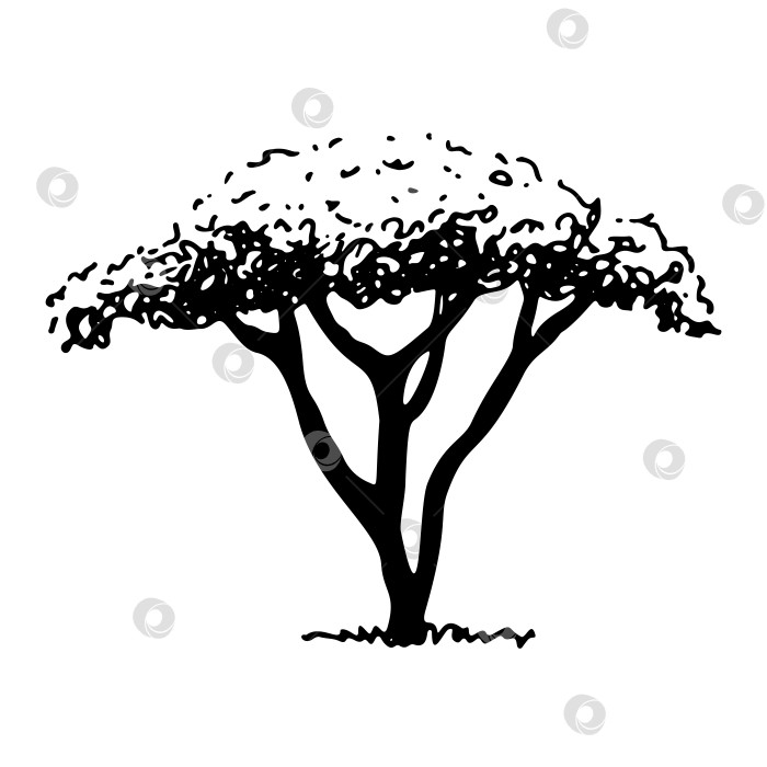 Скачать Нарисованное от руки дерево эскизов, векторная графика фотосток Ozero