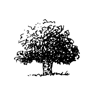 [object Object] undefined