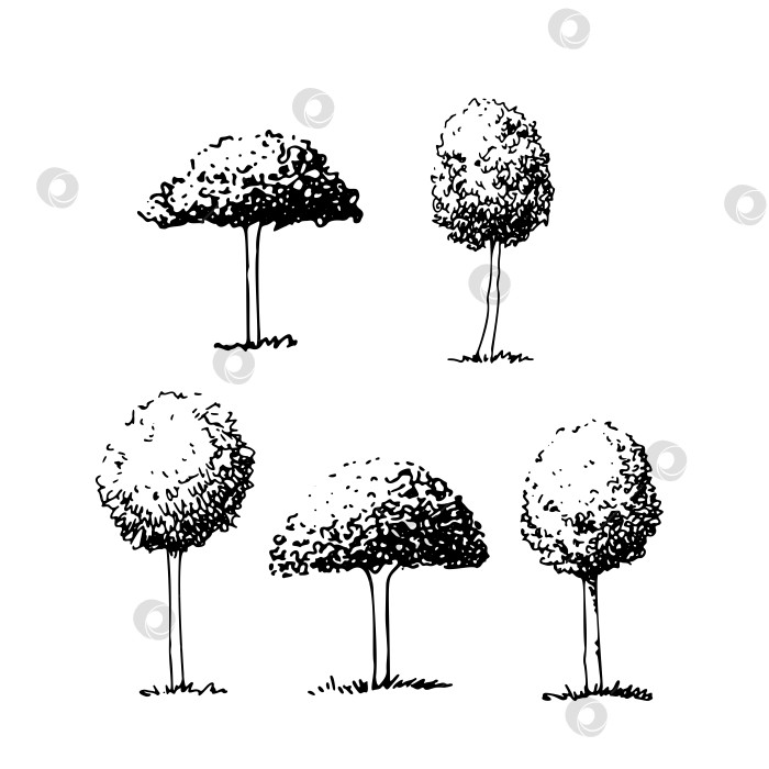 Скачать Набор овальных и круглых деревьев, нарисованный от руки эскиз, векторный пейзаж фотосток Ozero