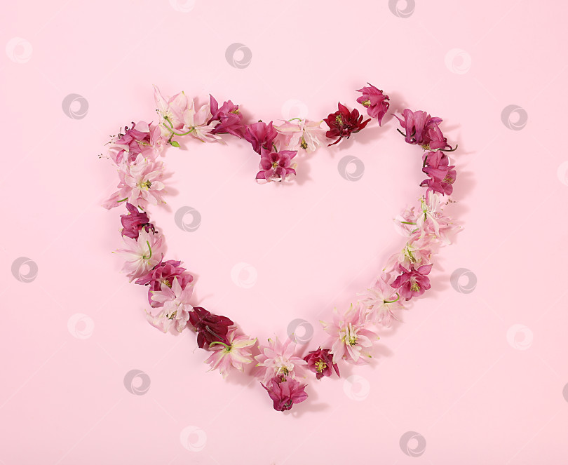 Скачать Концепция дня святого Валентина или женского дня. Поздравительная открытка с сердцем из живых цветов, лепестков, фона, счастливых праздников, элементов для использования в графическом редакторе, выборочный фокус фотосток Ozero
