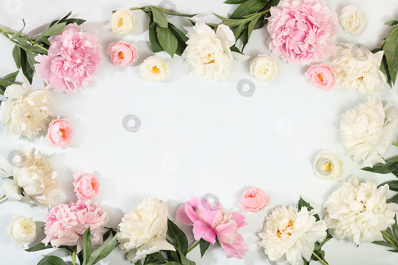 Скачать Красивые цветы пиона и розы на светлом фоне, цветочная композиция с местом для текста, летний баннер, поздравительная открытка на свадьбу, день рождения, шаблон для дизайна, выборочный фокус фотосток Ozero