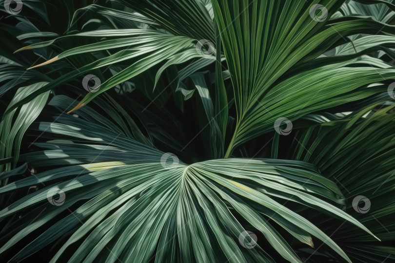 Скачать Зеленый эко-фон, плоская иллюстрация с большими тропическими листьями. Порождающий искусственный интеллект фотосток Ozero