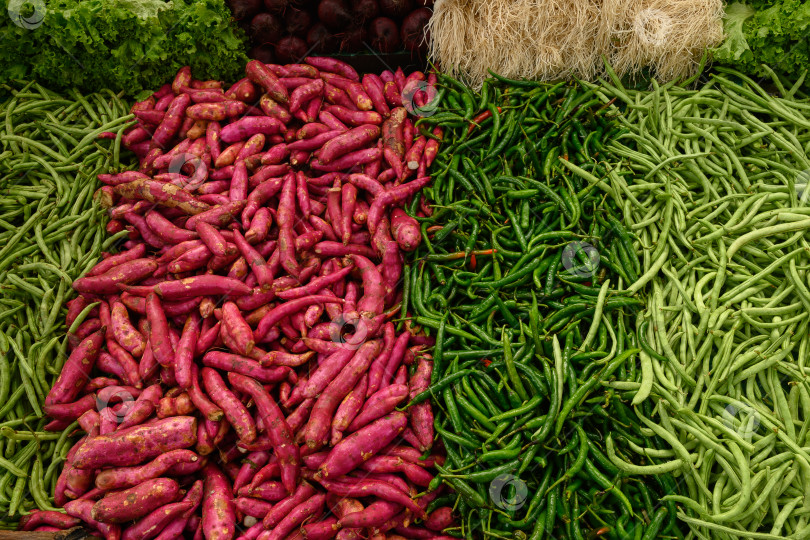Скачать На рынке представлены различные органические овощи: сладкий картофель, зеленый перец, фасоль. фотосток Ozero