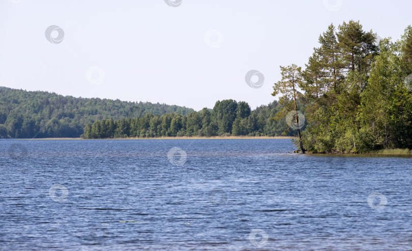 Скачать Карельское озеро летом. Композиция природы фотосток Ozero