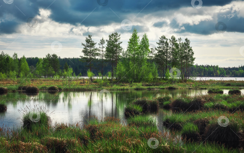 Скачать Берег озера. Солнечный день. Карелия. Россия фотосток Ozero