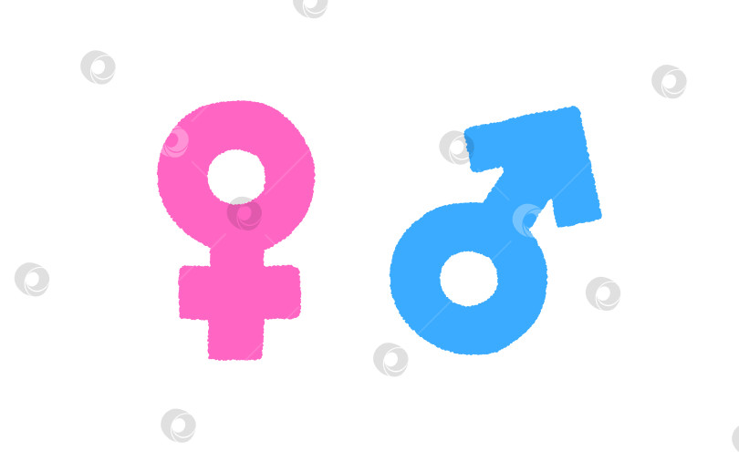 Скачать Розовый женский символ Венеры и синий мужской символ Марса набор гендерных иконок в пушистом стиле векторная иллюстрация изолирована фотосток Ozero