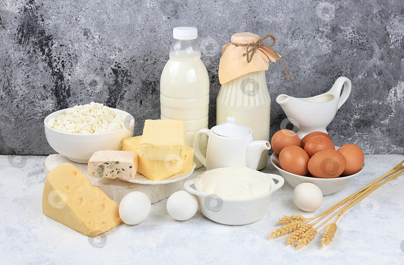 Скачать Разнообразные свежие молочные продукты, полезный завтрак с ингредиентами, концепция натурального питания, поддержание здоровой микрофлоры кишечника, диетическое питание, фотосток Ozero