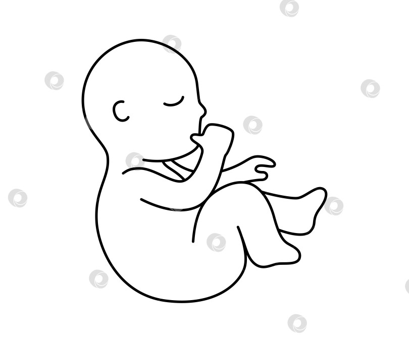 Скачать Симпатичный плод-младенец, сосущий палец в стиле контура с редактируемым штрихом векторной иллюстрации фотосток Ozero