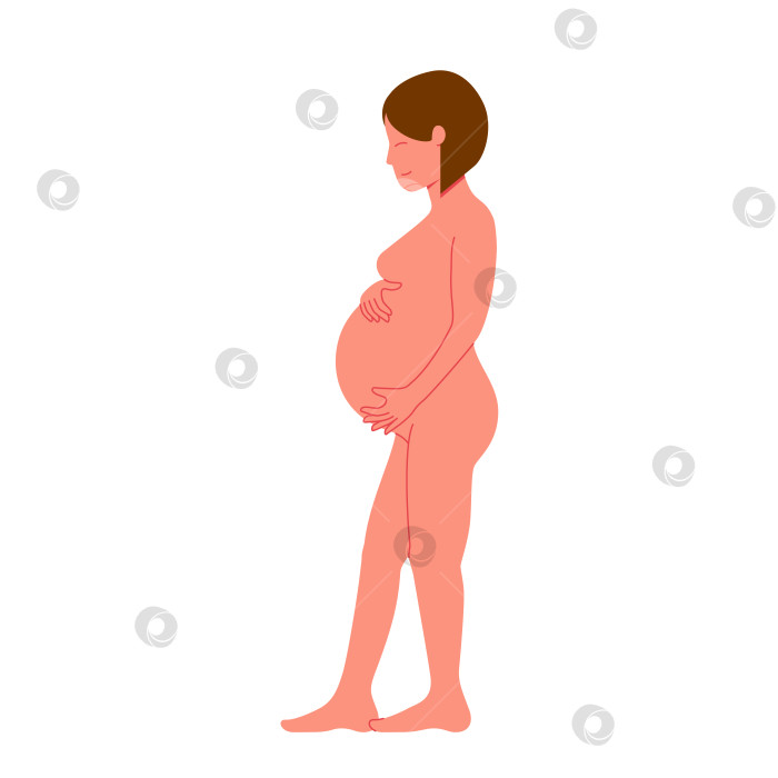 Скачать Беременная женщина в полный рост гладит свой плоский живот векторной иллюстрацией фотосток Ozero