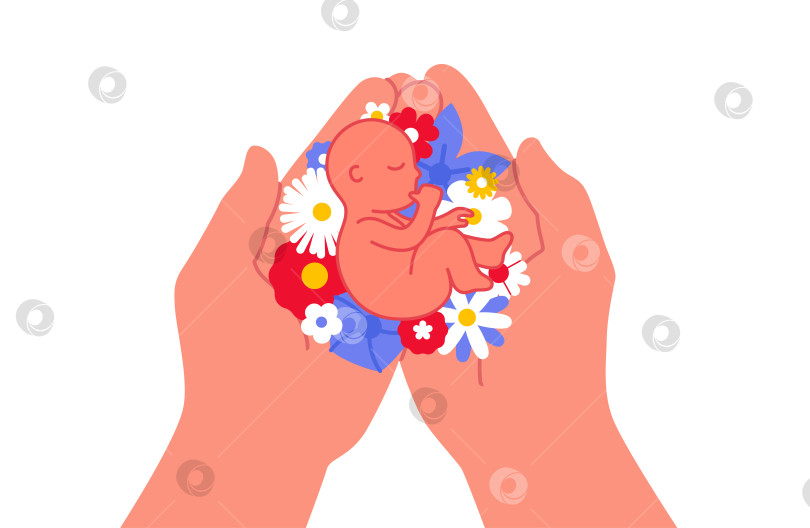 Скачать Две руки держат милого новорожденного ребенка, лежащего в цветах векторная иллюстрация фотосток Ozero