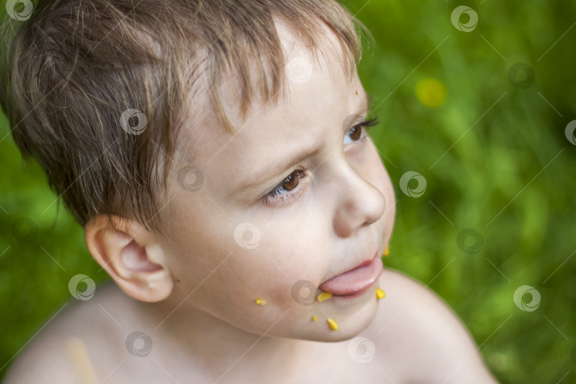 Скачать Симпатичный белокурый мальчик аппетитно ест кукурузу летом, сидя на фотосток Ozero