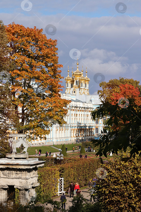 Скачать Россия, Санкт-Петербург, 28 сентября 2019 года, Екатерининский парк. На фото Екатерининский дворец в Царском Селе на фоне осеннего парка с красными листьями фотосток Ozero