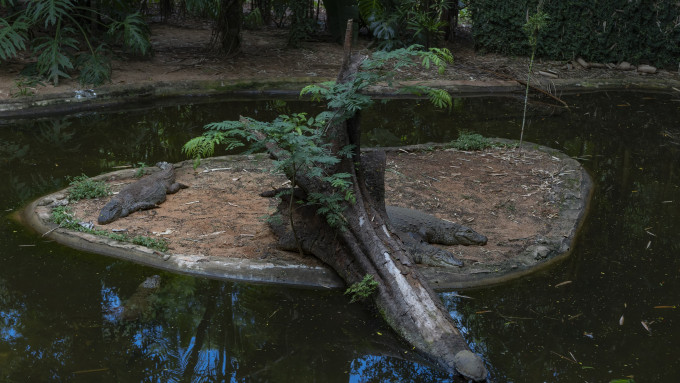 [object Object] undefined