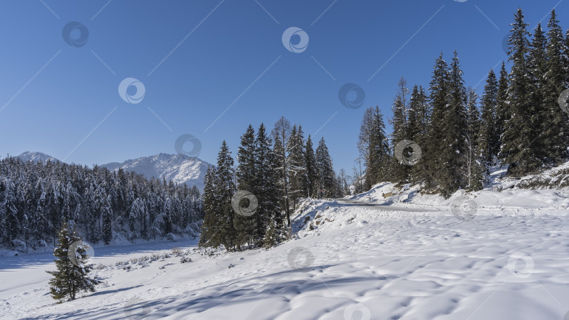 Скачать Дорога взбирается на холм в зимнем лесу. фотосток Ozero