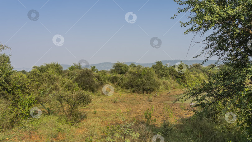 Скачать Пейзаж Национального парка Индии. фотосток Ozero