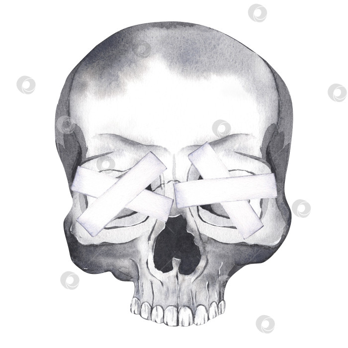 Скачать Человеческий череп с закрытыми глазами в день мертвых Акварельная иллюстрация для дизайна Хэллоуина на изолированном белом фоне. фотосток Ozero